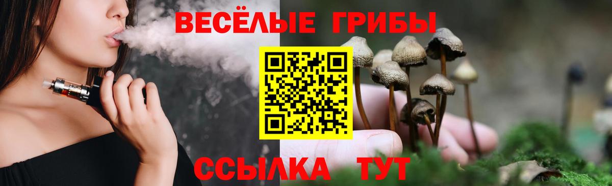 Псилоцибиновые грибы Psilocybine cubensis Клин